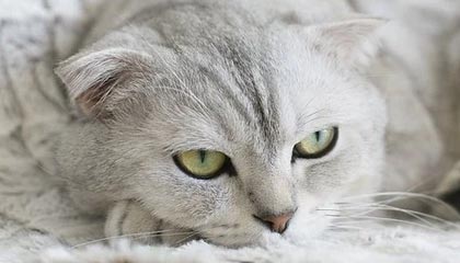 潜江伴游，定制QQ：3494206190微信：act1322